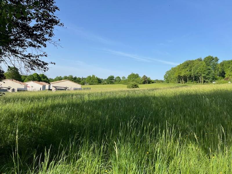 Vente Terrain ST ASTIER - -1138 m² - (24110)