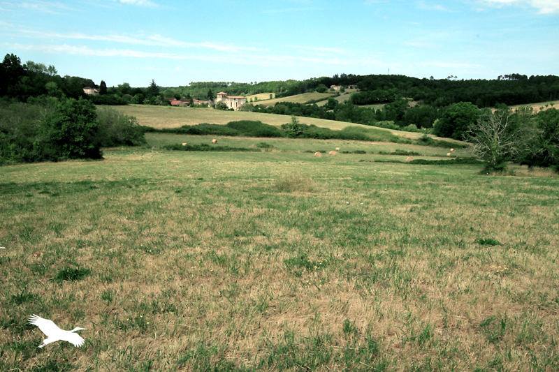 Vente Maison CHANTERAC - 3 pièces -70 m² - (24190)