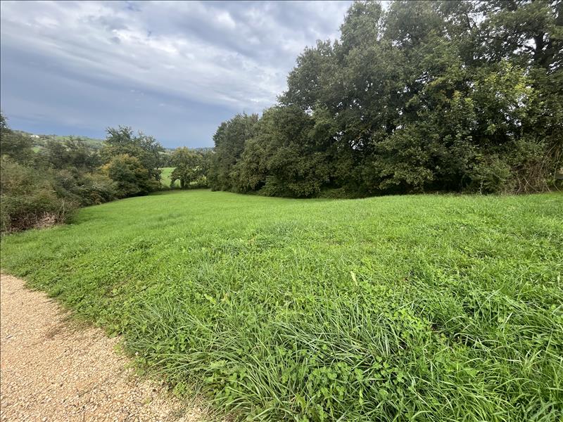 Vente Terrain USSAC - -4467 m² - (19270)