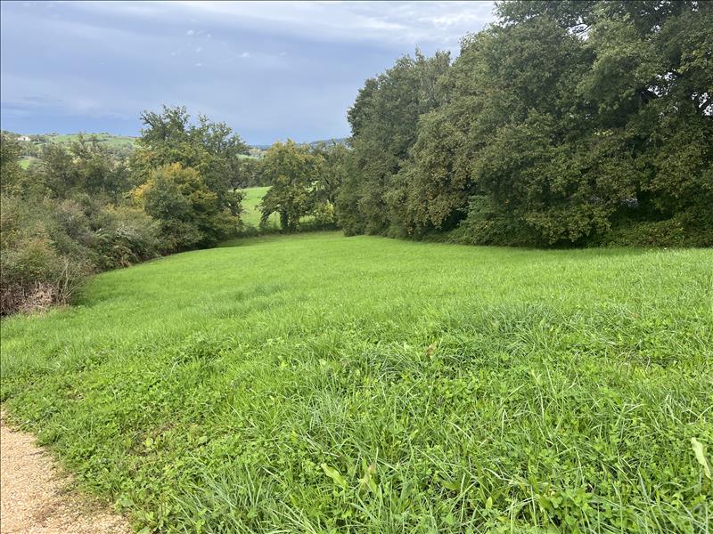 Vente Terrain USSAC - -4467 m² - (19270)