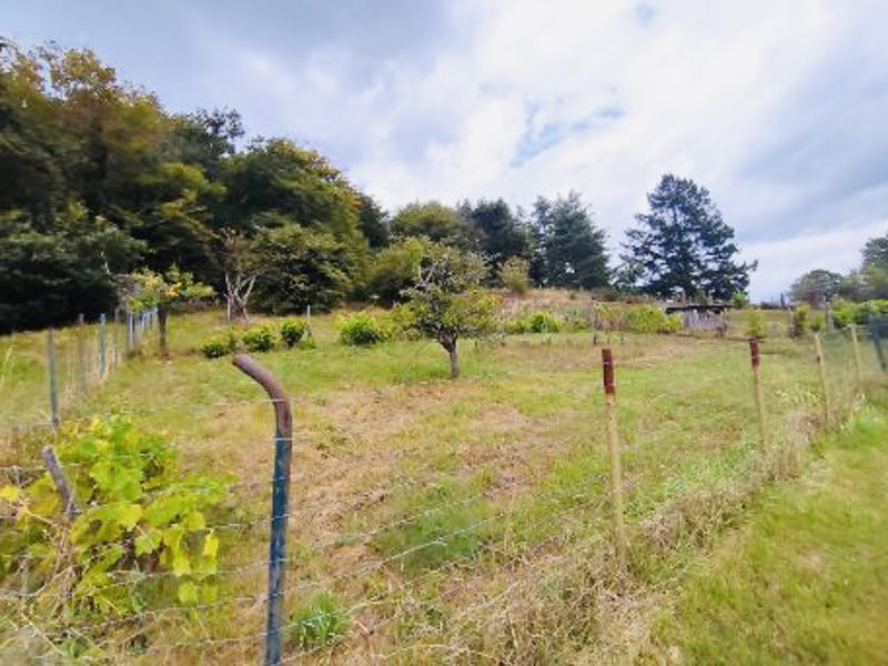 Vente Terrain BRIVE LA GAILLARDE - -4049 m² - (19100)