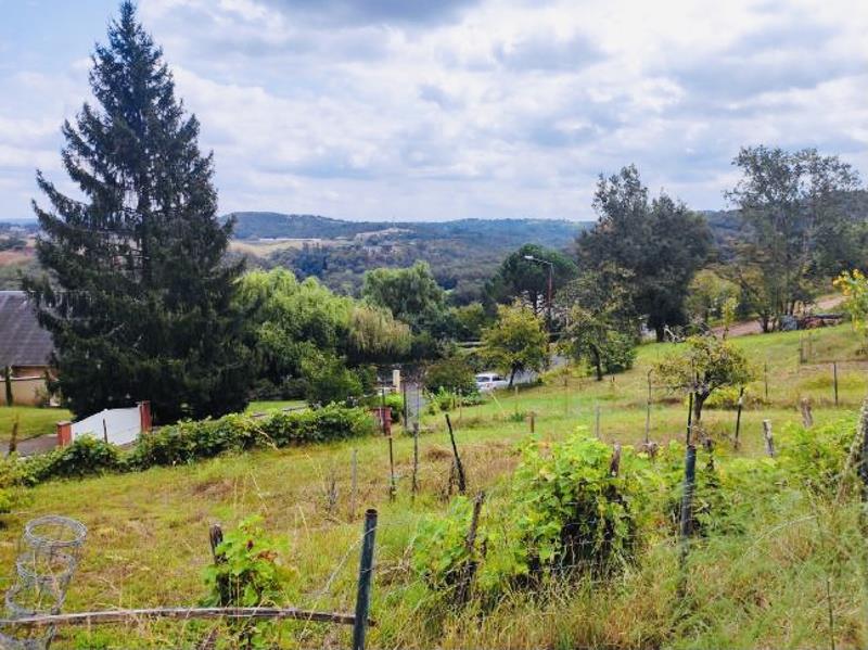 Vente Terrain BRIVE LA GAILLARDE - -4049 m² - (19100)
