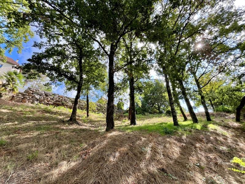 Vente Terrain MALEMORT - -1406 m² - (19360)