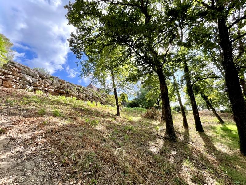 Vente Terrain MALEMORT - -1406 m² - (19360)