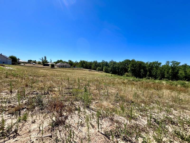 Vente Terrain BRIVE LA GAILLARDE - -4777 m² - (19100)