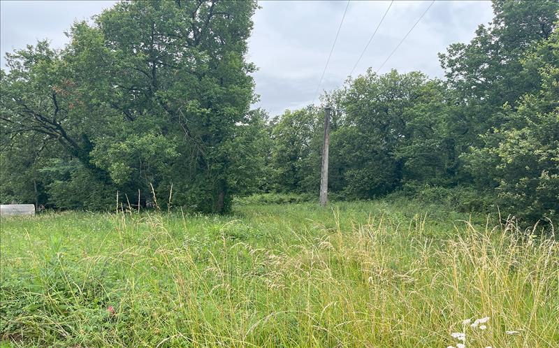 Vente Terrain MONSEMPRON LIBOS - -9920 m² - (47500)