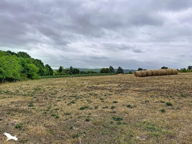 Vente Maison DURAVEL - 5 pièces -104 m² - (46700)