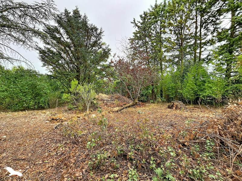 Vente Maison SERIGNAC - 8 pièces -164 m² - (46700)