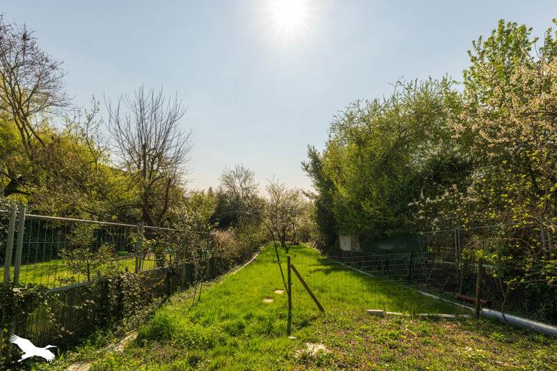 Vente Maison ARGENTEUIL - 3 pièces -63,7 m² - (95100)