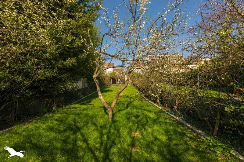 Vente Maison ARGENTEUIL - 3 pièces -63,7 m² - (95100)