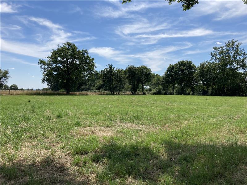 Vente Terrain NOZIERES - -1960 m² - (18200)