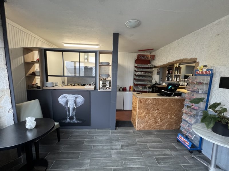 Vente Immeuble MEILLANT - 5 pièces -  310 m² - (18200)