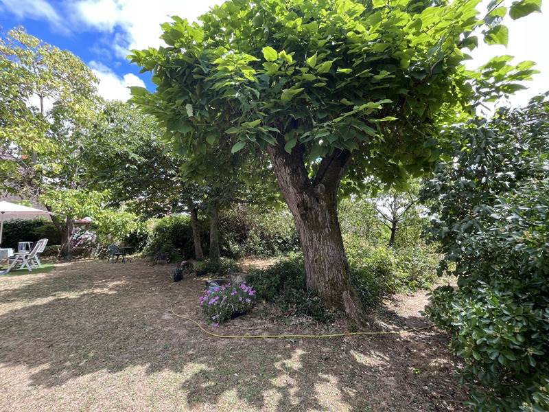 Vente Maison ST AMAND MONTROND - 7 pièces -160 m² - (18200)