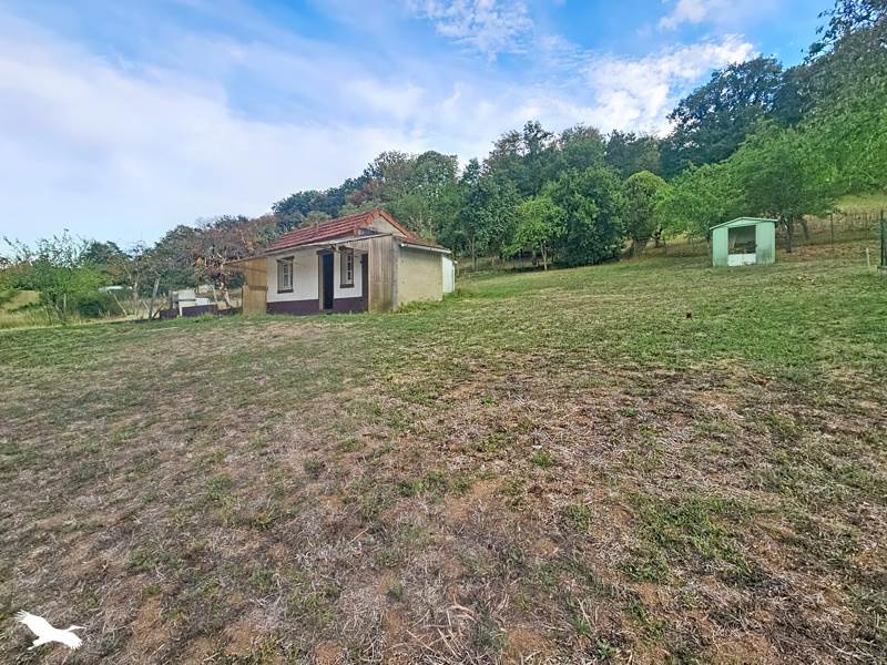 Vente Maison ST AMAND MONTROND - 2 pièces -40,5 m² - (18200)