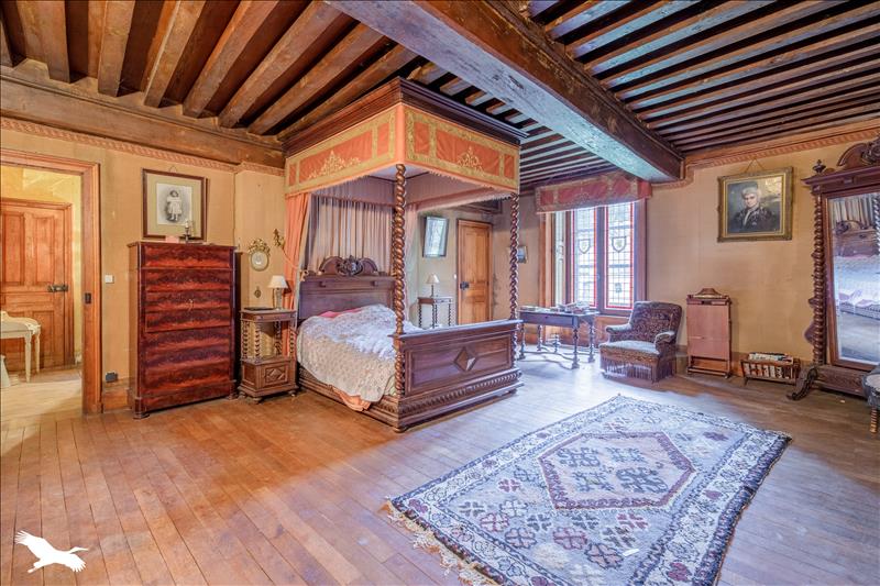 Vente Château BRIANTES - 11 pièces -600 m² - (36400)