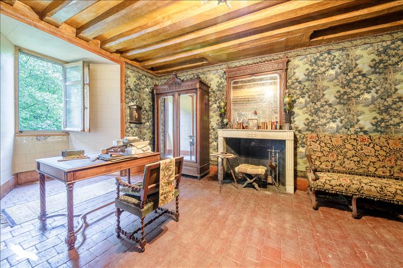 Vente Château BRIANTES - 11 pièces -600 m² - (36400)