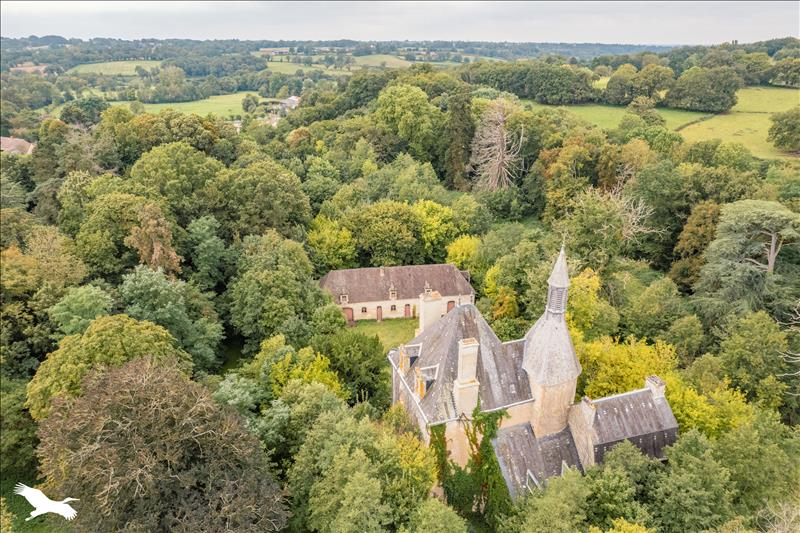 Vente Château BRIANTES - 11 pièces -600 m² - (36400)