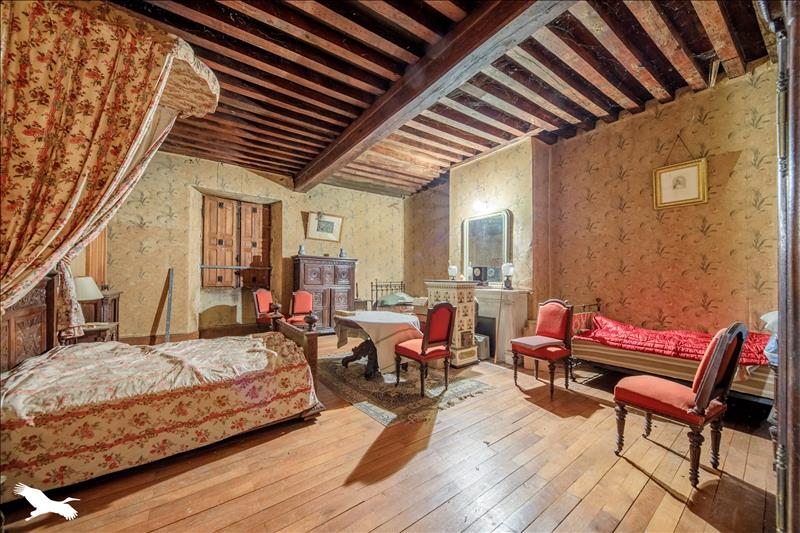 Vente Château BRIANTES - 11 pièces -600 m² - (36400)