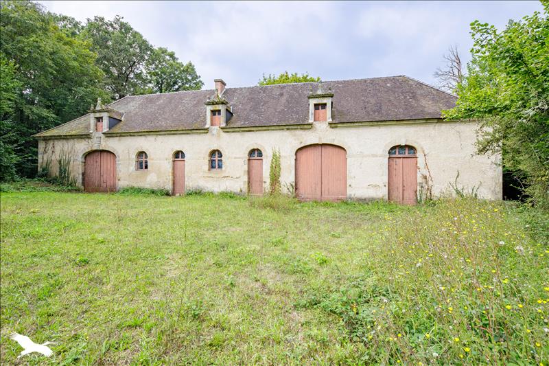 Vente Château BRIANTES - 11 pièces -600 m² - (36400)