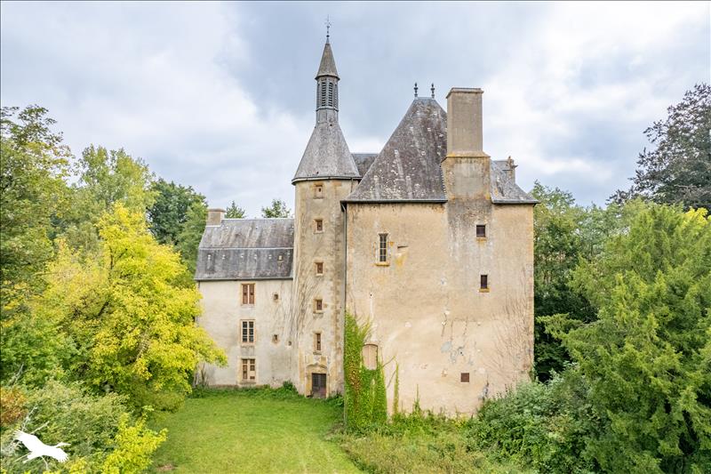Vente Château BRIANTES - 11 pièces -600 m² - (36400)