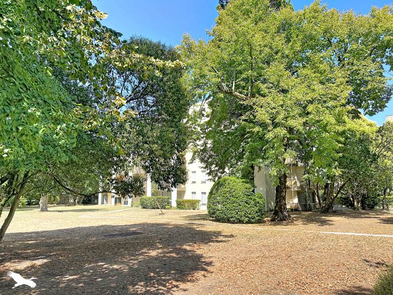 Vente Appartement MERIGNAC - 5 pièces -111 m² - (33700)