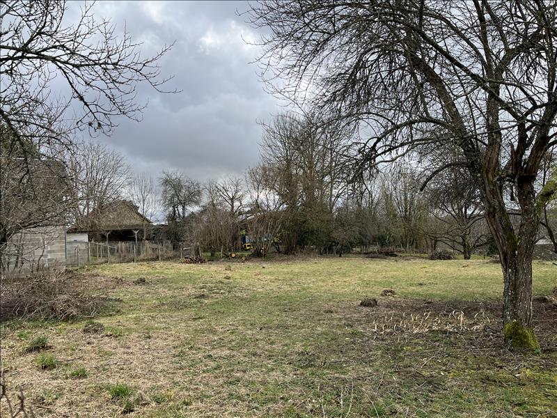 Vente Terrain GLANGES - -1247 m² - (87380)