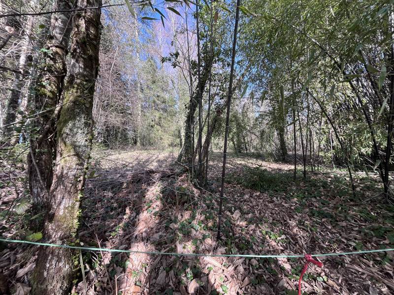 Vente Maison JUMILHAC LE GRAND - 1 pièce -35 m² - (24630)