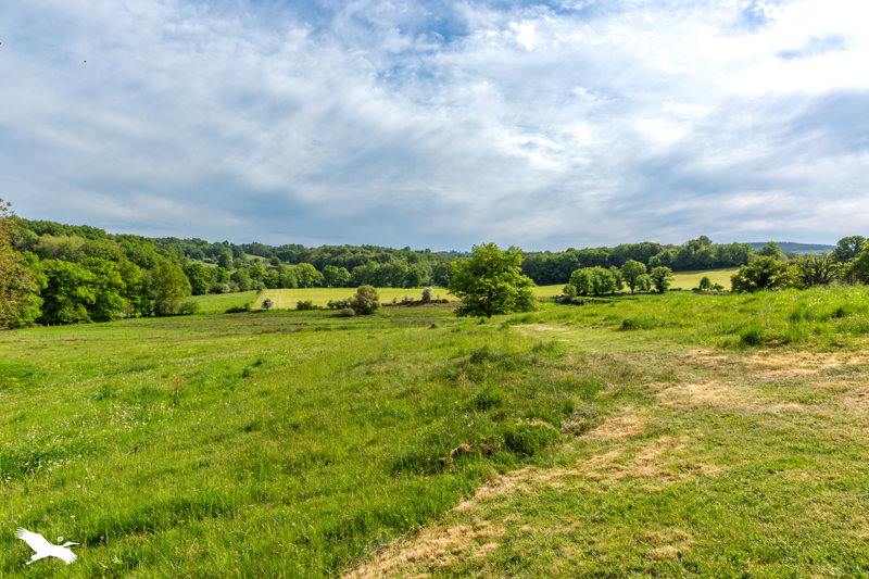 Vente Maison NEXON - 6 pièces -174 m² - (87800)