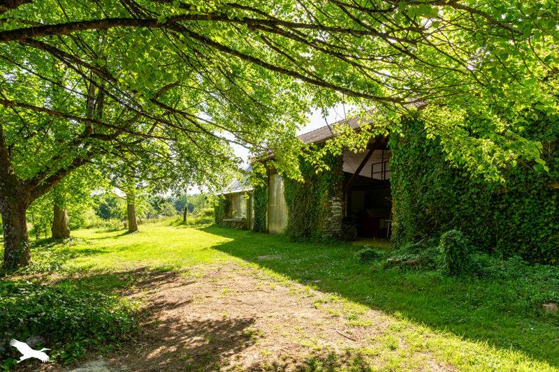 Vente Maison PAYZAC - 9 pièces -204 m² - (24270)
