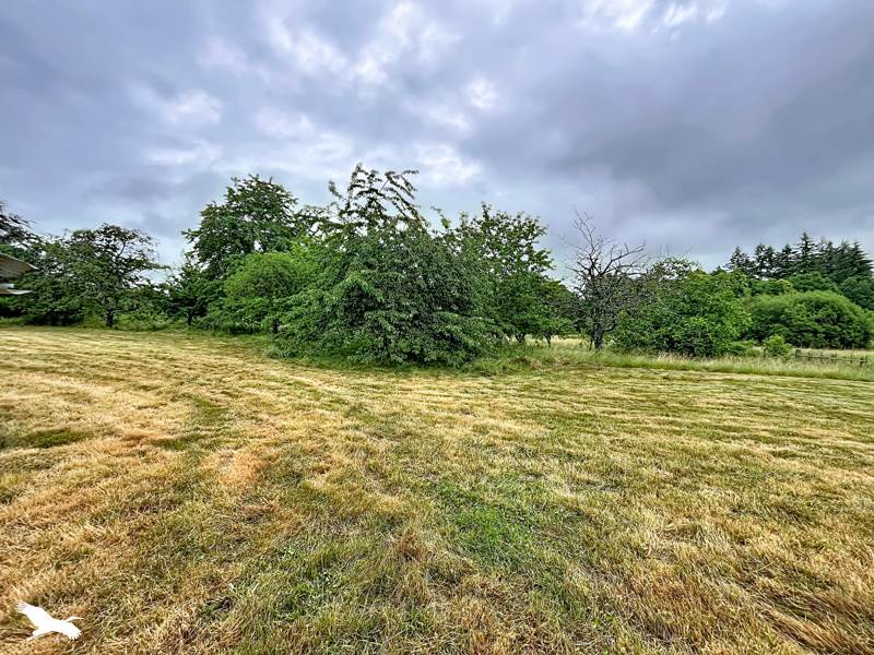 Vente Maison Château-Chervix - 4 pièces -160 m² - (87380)