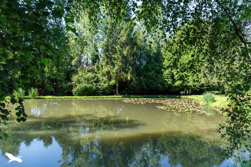 Vente Maison ST YRIEIX LA PERCHE 87500 6 pièces - 192 m²