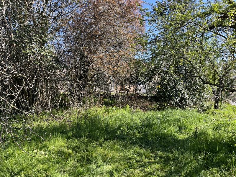 Vente Terrain TOULOUSE - -415 m² - (31400)