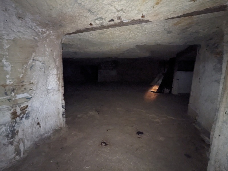 Vente Immeuble LANGEAIS - -  600 m² - (37130)