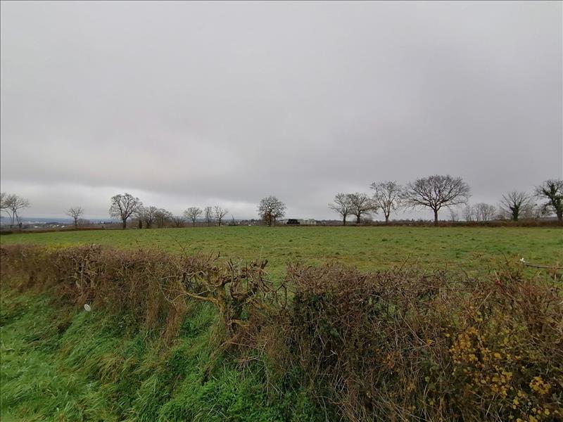 Vente Terrain ST GENEST - -2165 m² - (03310)