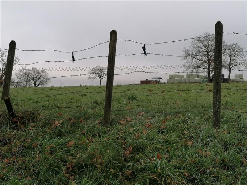 Vente Terrain ST GENEST - -2165 m² - (03310)