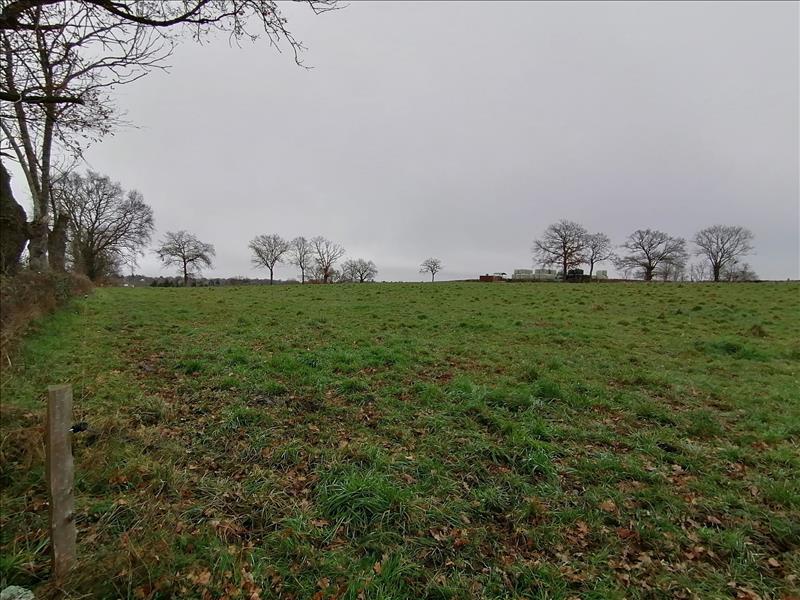 Vente Terrain ST GENEST - -2780 m² - (03310)