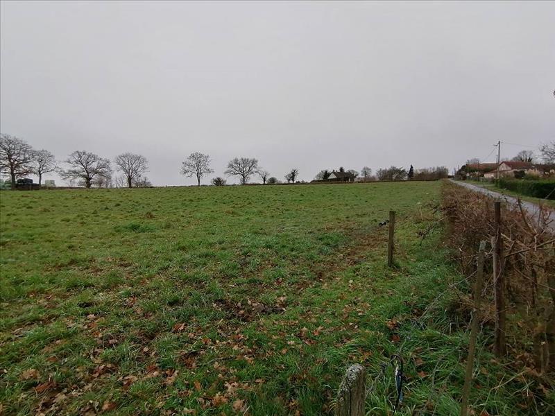 Vente Terrain ST GENEST - -2785 m² - (03310)