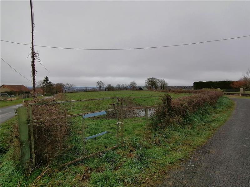 Vente Terrain ST GENEST - -2785 m² - (03310)