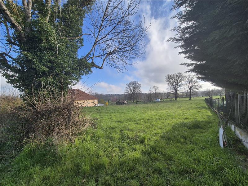 Vente Terrain ST GENEST - -2241 m² - (03310)