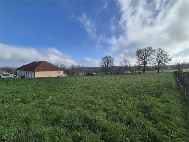 Vente Terrain ST GENEST - -2241 m² - (03310)