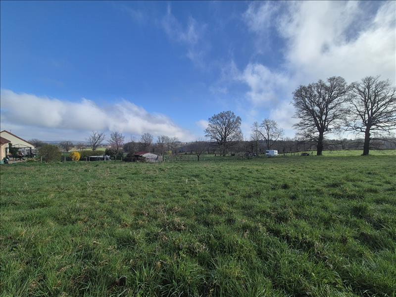 Vente Terrain ST GENEST - -2241 m² - (03310)