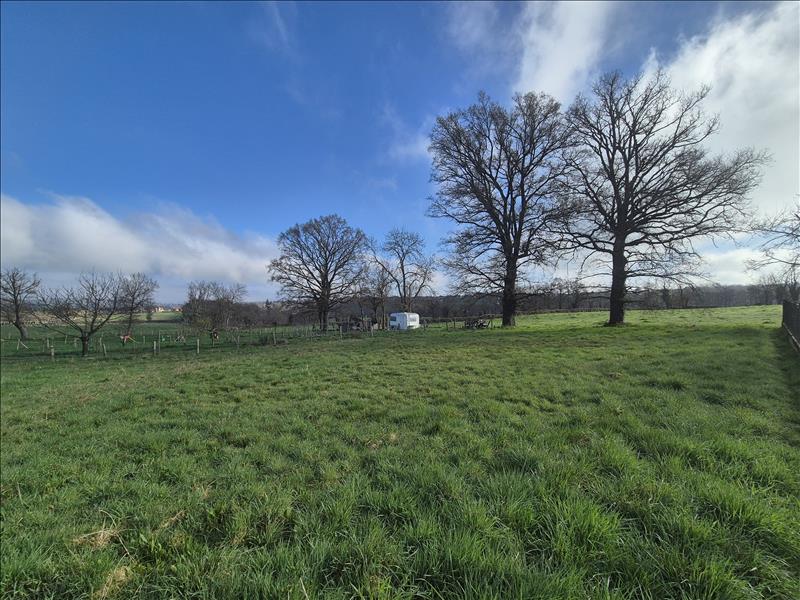 Vente Terrain ST GENEST - -2241 m² - (03310)