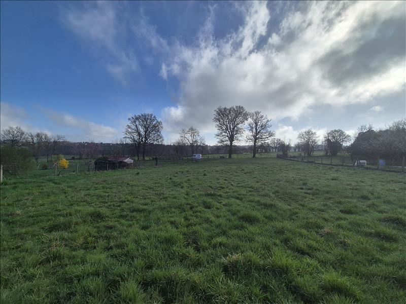 Vente Terrain ST GENEST - -2241 m² - (03310)