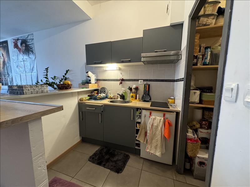 Vente Appartement Tonneins - 2 pièces -49 m² - (47400)