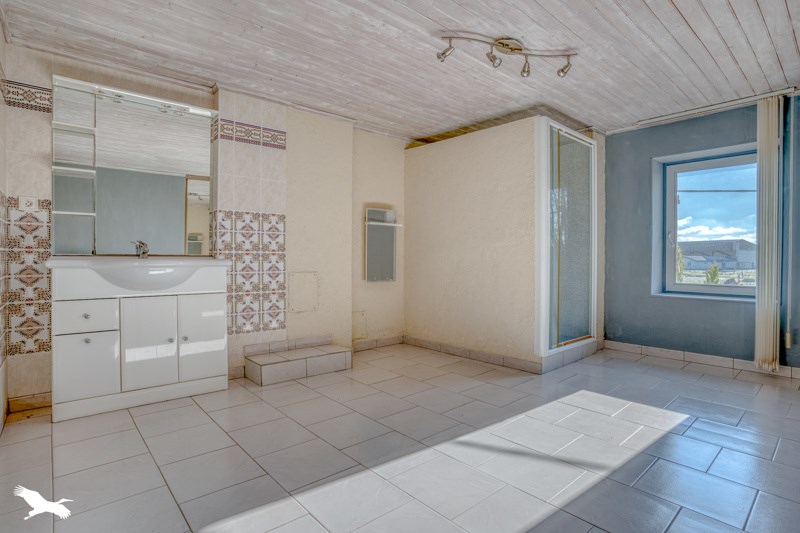 Vente Maison LAFITTE SUR LOT - 7 pièces -303 m² - (47320)