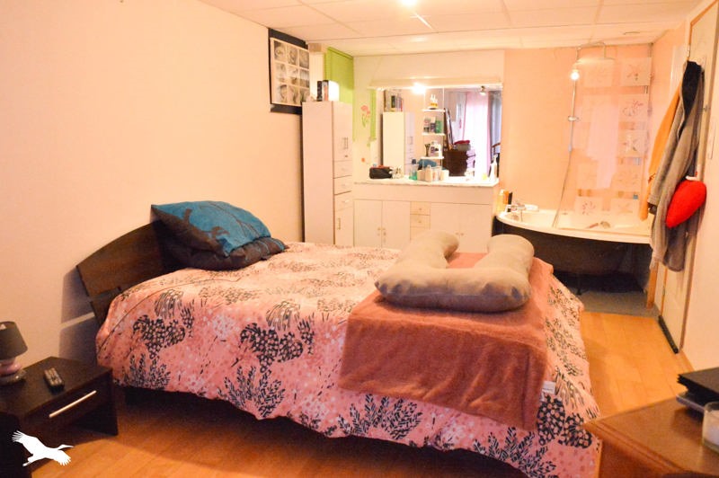 Vente Maison TONNEINS - 6 pièces -194 m² - (47400)