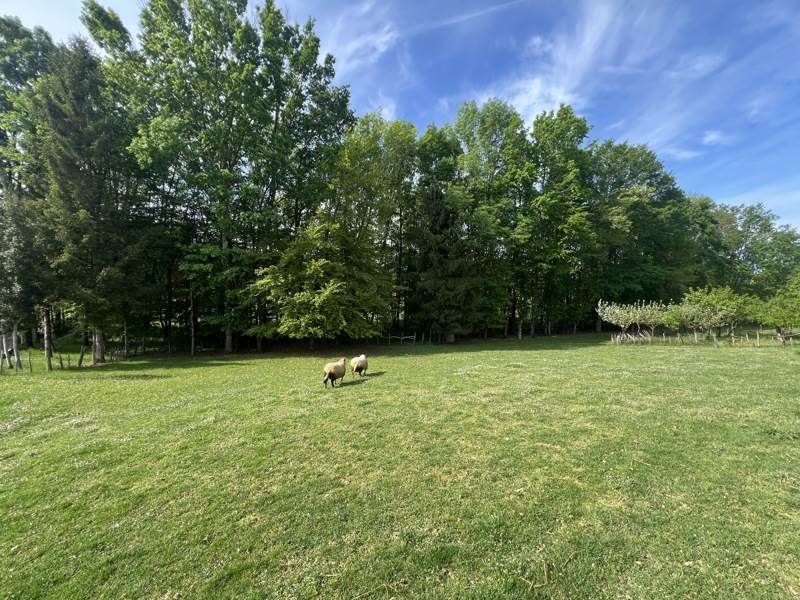 Vente Maison TONNEINS - 4 pièces -100 m² - (47400)