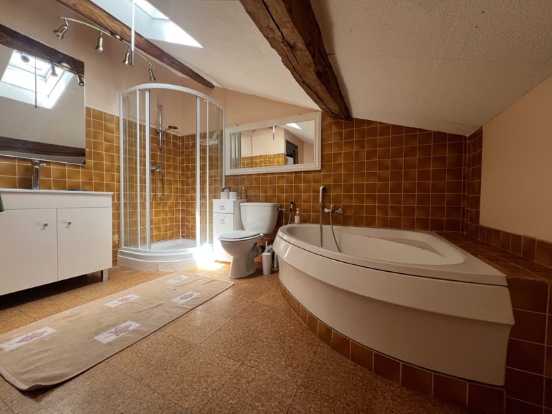 Vente Maison TONNEINS - 4 pièces -190 m² - (47400)