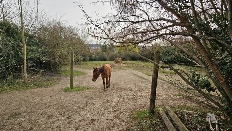 Vente Terrain MAGNY EN VEXIN - -2318 m² - (95420)