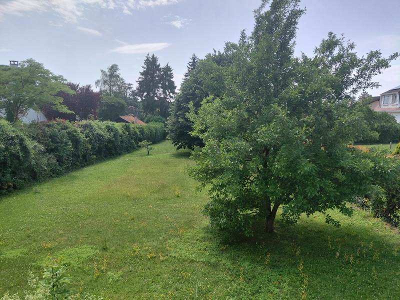 Vente Terrain MAULE - -940 m² - (78580)